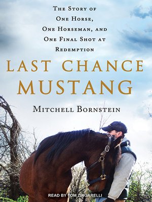 cover image of Last Chance Mustang